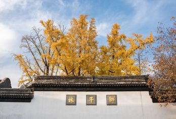 苏州狮子林+寒山寺+山塘街一日游【【纯玩精品一日游】虎丘可选【[优选行程]纯玩无购物，拒绝推销0套路，轻松旅行。】