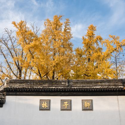 苏州+杭州+绍兴3日2晚跟团游