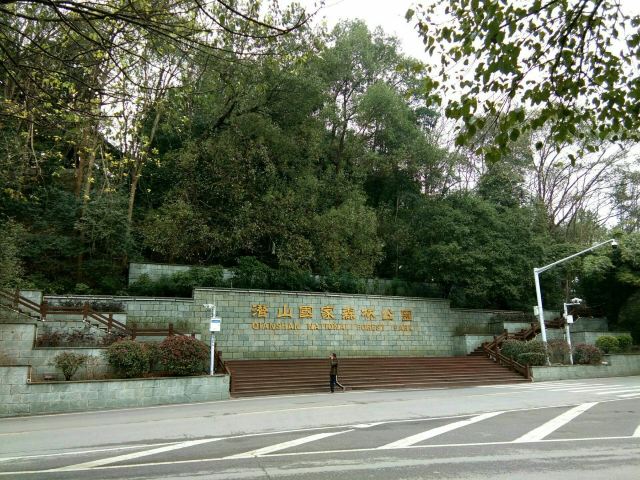 潜山国家森林公园旅行图片 1
