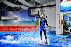 合肥海洋世界-合肥-C-IMAGE