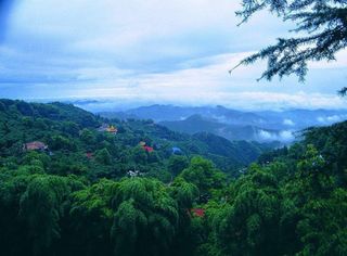 去莫干山踏青，都有哪些景点值得观光？