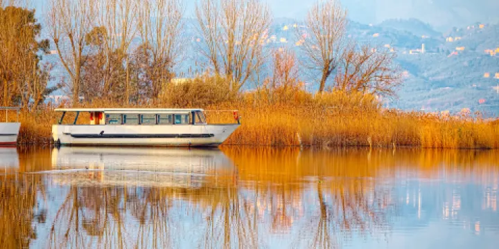 白浪綠洲濕地公園