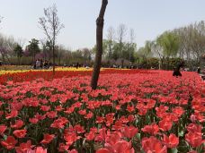 郑州中国绿化博览园-中牟-池默2024