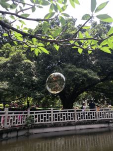 晓港公园-广州-7849708