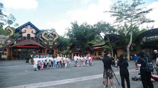 带着爸妈去非遗，槟榔谷这次旅行真给力