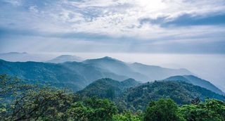 莫干山 | 去山里,过夏天!