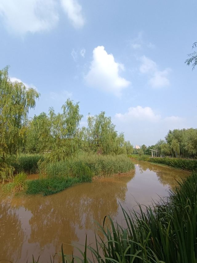 长安城市公园(樊川公园)旅行图片 1