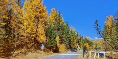 智異山國立公園