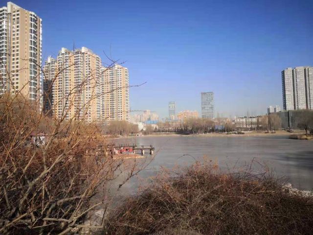 学府公园旅行图片 4