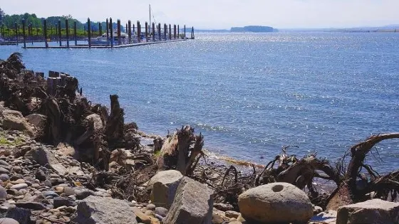Marine Park