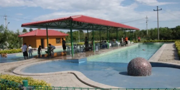 CKC國際寵物公園