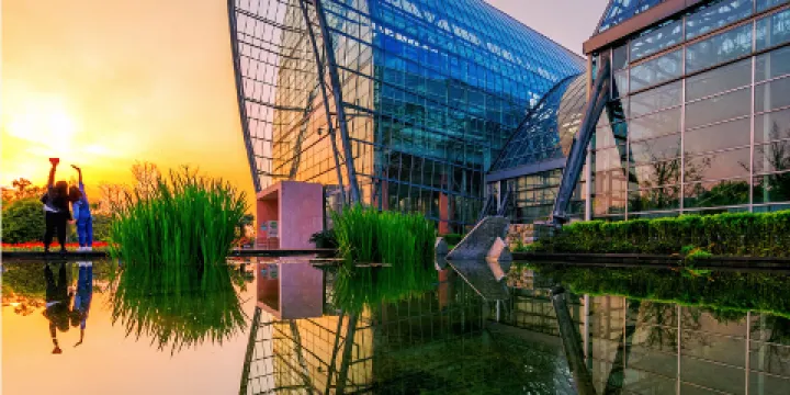 重慶南山植物園
