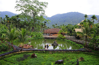 假如生命有三天光阴,我愿陪你这么走过