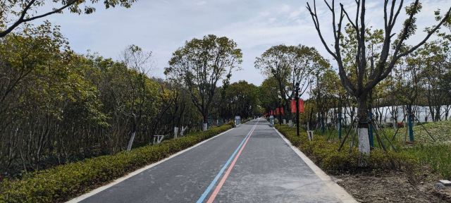 合庆郊野公园旅行图片 2
