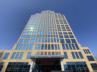 当春天与蓝海相遇