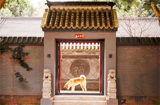 北京怀柔古水丰塘民宿，面积80亩投资2000万，三套院古水月包浅莲