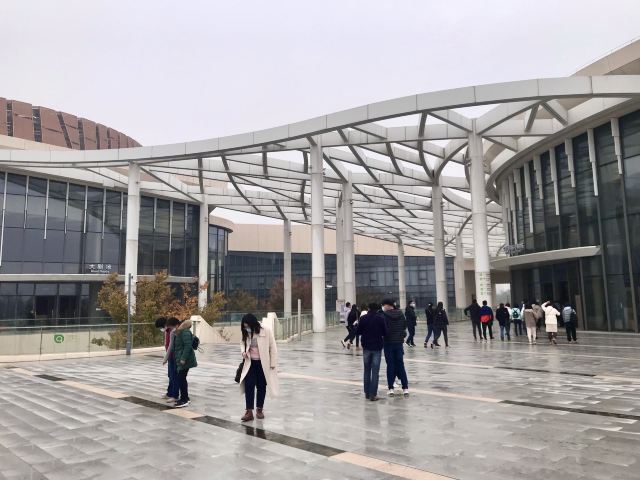 九棵树艺术公园旅行图片 4