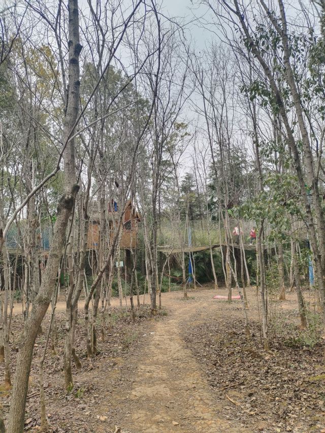 咸宁松鼠部落森林假日公园旅行图片 2