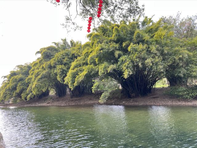 大圩古镇旅行图片 2