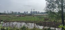 雅美佳湿地公园-重庆