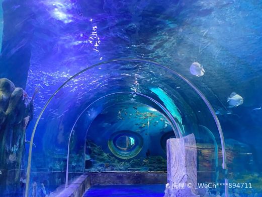 金海景海洋世界