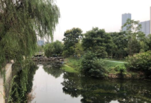 景兴路666号稻谷公园景点图片