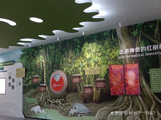 东寨港红树林博物馆