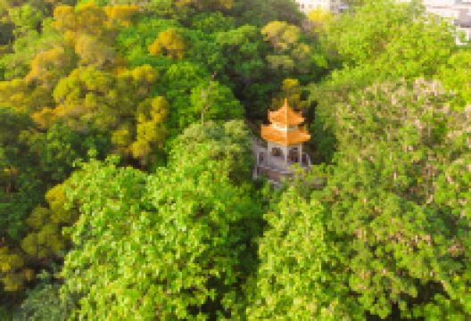 塔山风景区景点图片