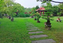 青山公园景点图片