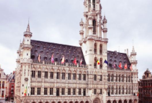 布鲁塞尔市政厅景点图片