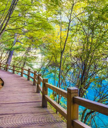 6D5N•Chengdu+Panda+Jiuzhai+Leshan+Huanglong+Mounigou-Round-trip high-speed train tickets included. Adjustable travel days, discount available on inquiry