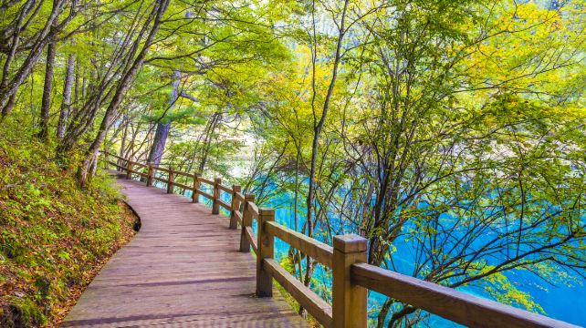 3-Day Sichuan Private Tour from Chengdu· Chengdu Research Base of Giant Panda, Jiuzhaigou, Huanglong Scenic Area