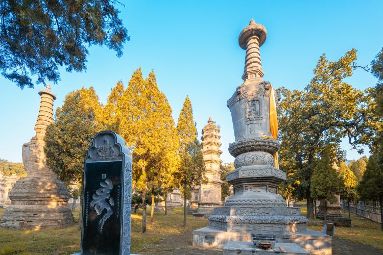 嵩山少林景区-塔林