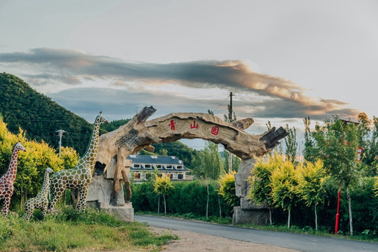 第四屆青山園秋收節開幕丨逛動物園、親子拓展、看民俗表演，秋日遛娃一站搞定。