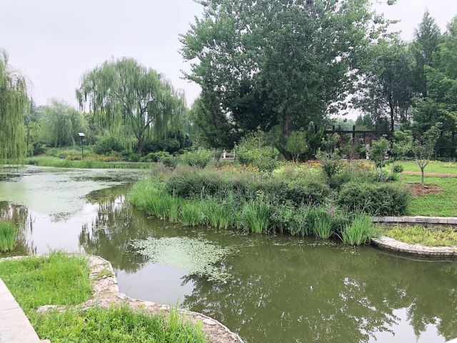 花博会主题公园旅行图片 2
