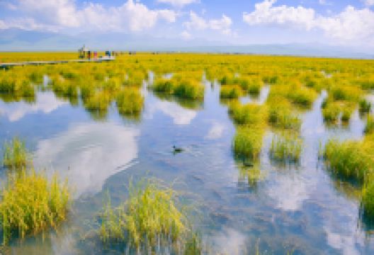 若尔盖花湖生态旅游区景点图片