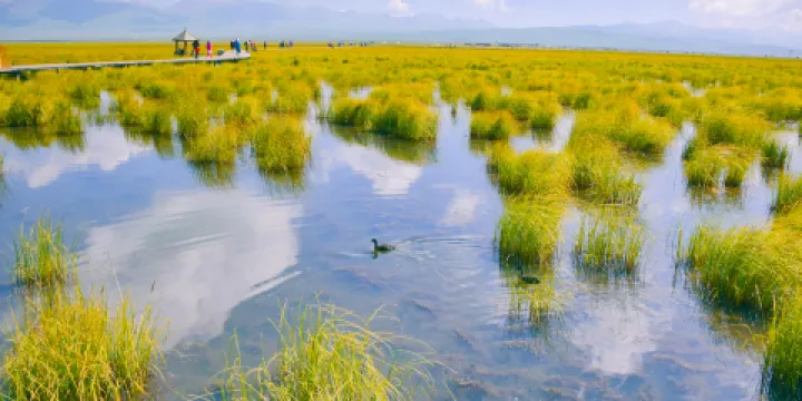 若爾蓋花湖生態旅遊區
