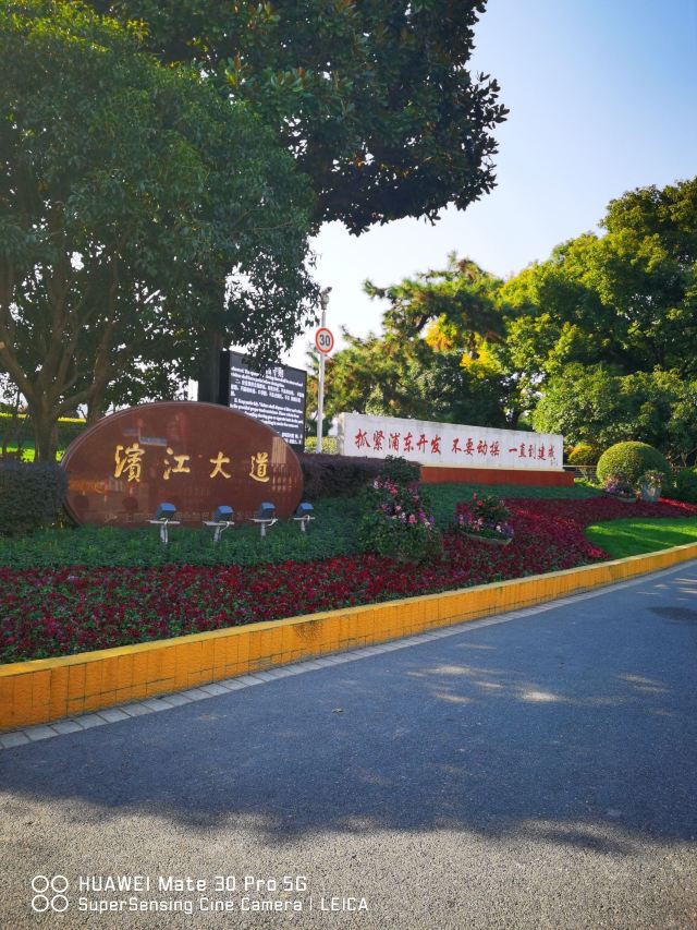 滨江大道旅行图片 1