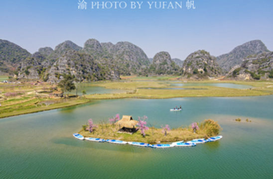 云南一个5A景区以假桃花吸引游客,游客却乐在其中,还表示真香