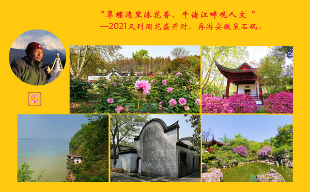 “翠螺湾里沐花香、牛诸江畔观人文“。又到国花盛开时,再游安徽采石矶。