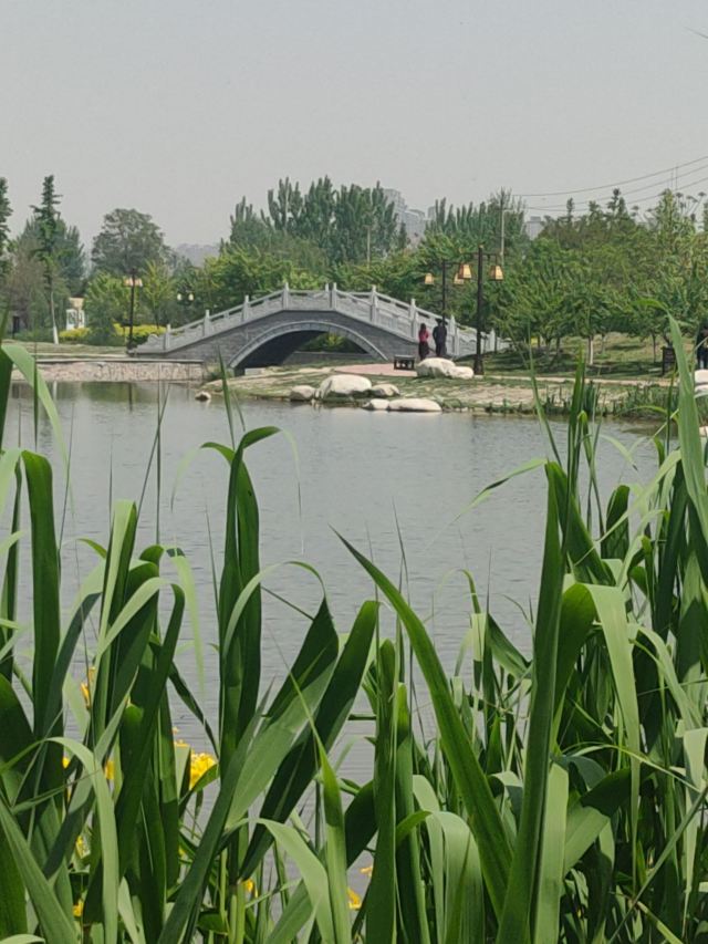 两寺渡公园旅行图片 10