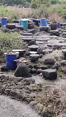 儋州千年古盐田-儋州-YoYo_8W2V1O1L