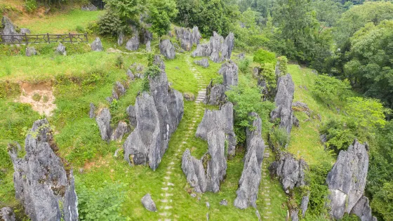 思南石林景區