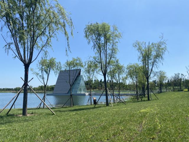 光年城中央公园旅行图片 3