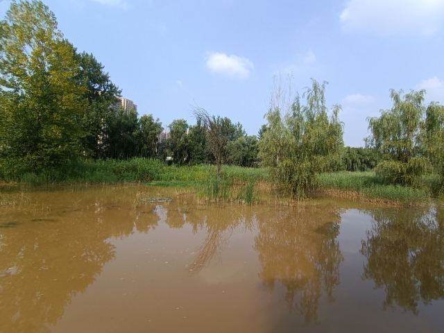长安城市公园(樊川公园)旅行图片 2