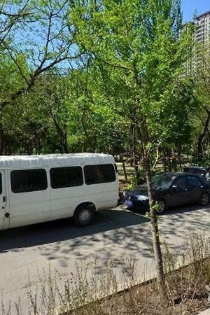 皂角园旅行图片 5