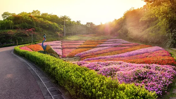 鼎山公園