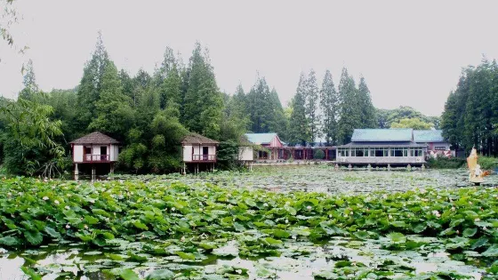 澹津公園