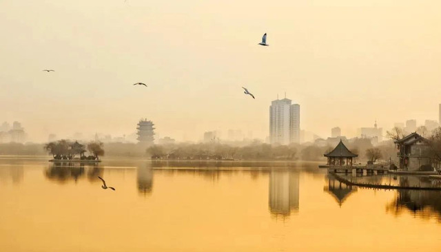 在大明湖,你可以换种方法亲近自然,比如:乘船观鸟!