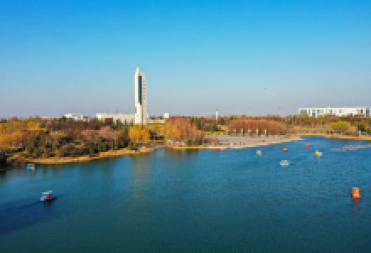 雪枫公园景点图片